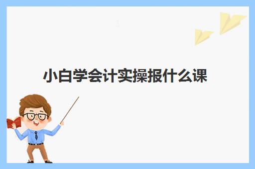 小白学会计实操报什么课(会计小白怎么学会计)