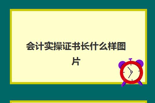 会计实操证书长什么样图片(会计证初级证书图片)