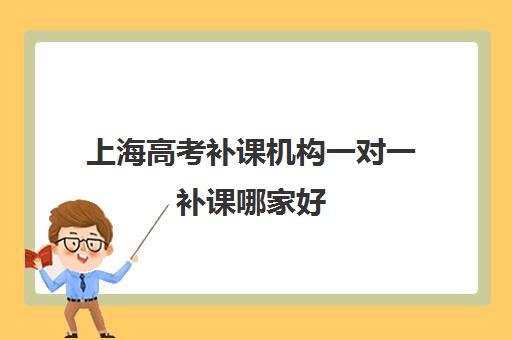 上海高考补课机构一对一补课哪家好(一对一补课利弊)