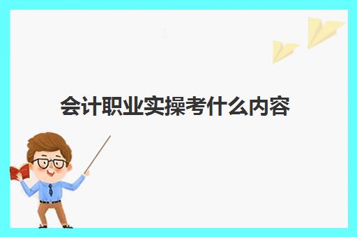 会计职业实操考什么内容(会计考试内容有哪些)