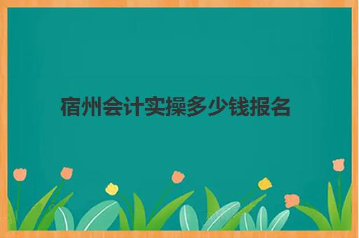 宿州会计实操多少钱报名(安徽初级会计报名费多少钱)