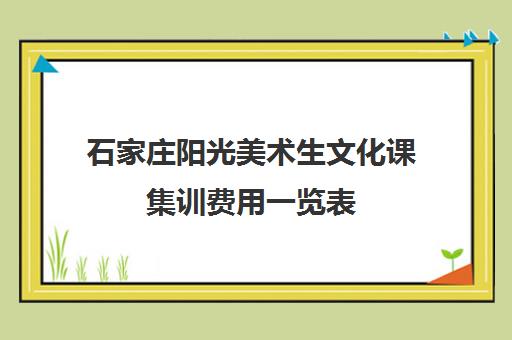 石家庄阳光美术生文化课集训费用一览表(石家庄强化画室集训收费标准)