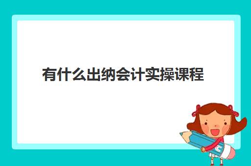 有什么出纳会计实操课程(出纳怎么学)