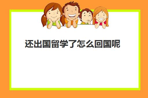 还出国留学了怎么回国呢(在国内读完本科可以出国上本科吗)