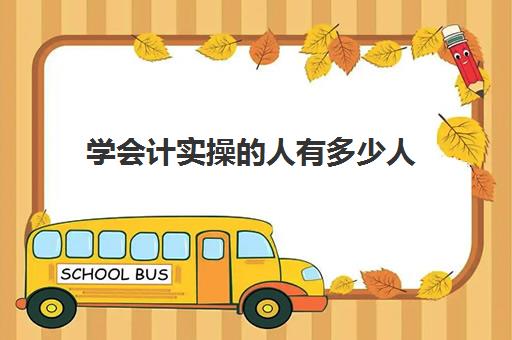 学会计实操的人有多少人(没学过会计直接工作难吗)