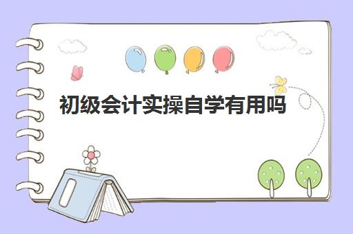 初级会计实操自学有用吗(初级会计能自学吗)