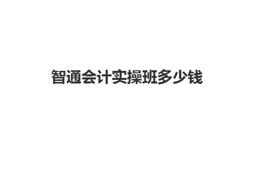 智通会计实操班多少钱(财务培训班一般多少钱)