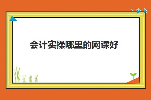 会计实操哪里的网课好(学会计的网课哪个好)
