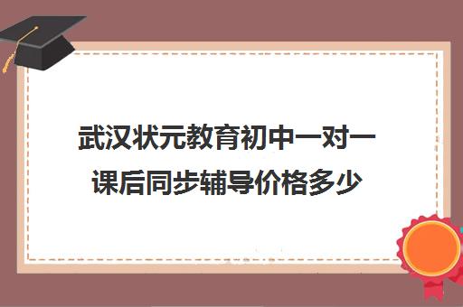 武汉状元教育初中一对一课后同步辅导价格多少（名师一对一的辅导价格）