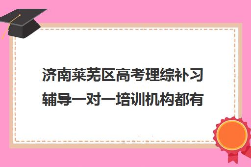 济南莱芜区高考理综补习辅导一对一培训机构都有哪些