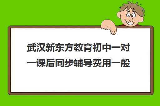 武汉新东方教育初中一对一课后同步辅导费用一般多少钱(新东方初三一对一价格表)