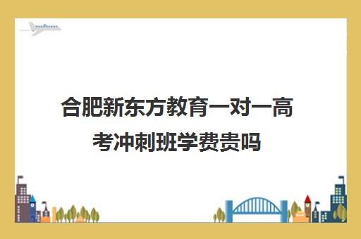 合肥新东方教育一对一高考冲刺班学费贵吗（合肥比较出名高中辅导班）