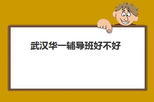 武汉华一辅导班好不好(武汉高中一对一辅导机构哪家好)