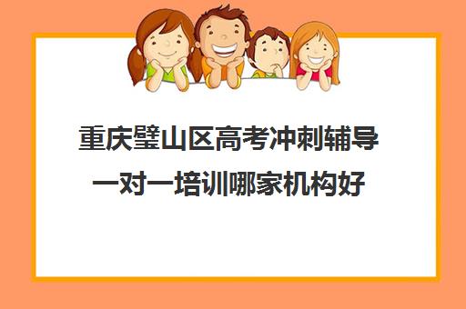 重庆璧山区高考冲刺辅导一对一培训哪家机构好(重庆高中补课机构排名)