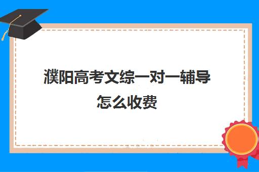 濮阳高考文综一对一辅导怎么收费(高考线上辅导机构有哪些比较好)