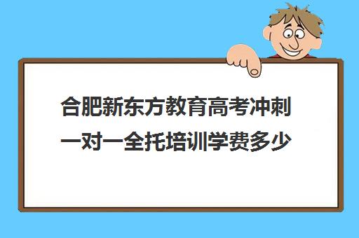 合肥新东方教育高考冲刺一对一全托培训学费多少钱（新东方高三一对一收费价格表）