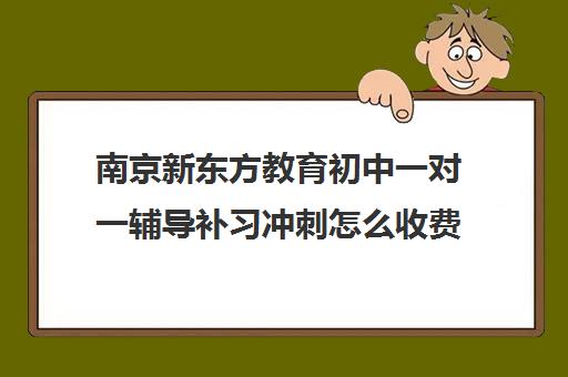 南京新东方教育初中一对一辅导补习冲刺怎么收费