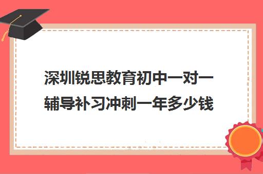 深圳锐思教育初中一对一辅导补习冲刺一年多少钱