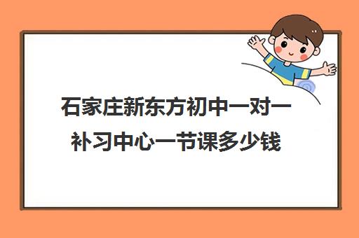 石家庄新东方初中一对一补习中心一节课多少钱