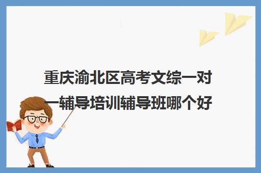 重庆渝北区高考文综一对一辅导培训辅导班哪个好(文综一对一有用吗)