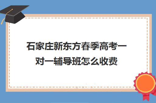 石家庄新东方春季高考一对一辅导班怎么收费（新东方高三一对一收费价格表）