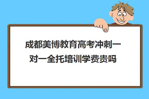 成都美博教育高考冲刺一对一全托培训学费贵吗（一对一辅导收费）