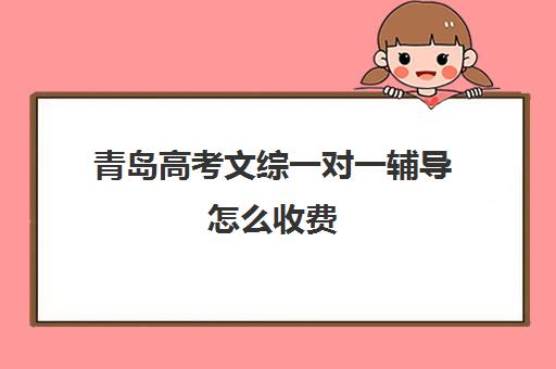 青岛高考文综一对一辅导怎么收费(高中网课一对一辅导机构哪家好)