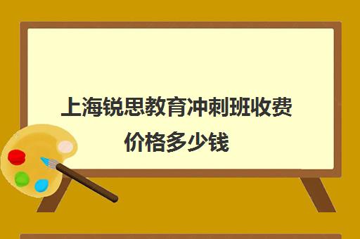 上海锐思教育冲刺班收费价格多少钱（锐思赛车收费标准）