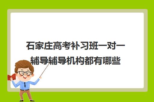 石家庄高考补习班一对一辅导辅导机构都有哪些