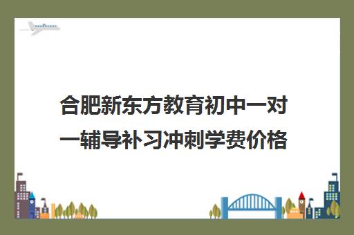 合肥新东方教育初中一对一辅导补习冲刺学费价格表