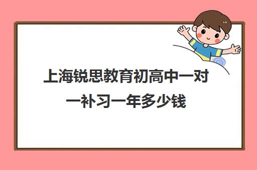 上海锐思教育初高中一对一补习一年多少钱