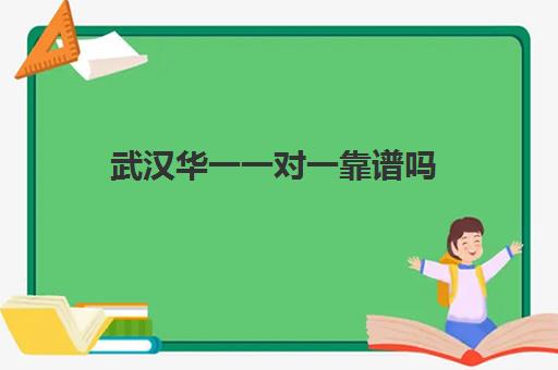 武汉华一一对一靠谱吗(武汉上门家教哪个平台比较好)