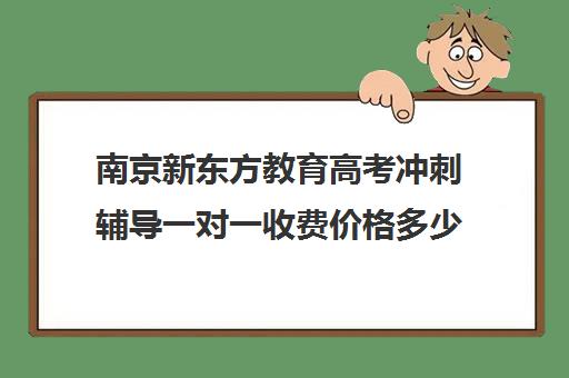 南京新东方教育高考冲刺辅导一对一收费价格多少钱（新东方高考培训机构官网）