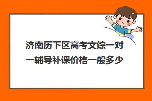 济南历下区高考文综一对一辅导补课价格一般多少钱(济南高中一对一辅导哪家好)